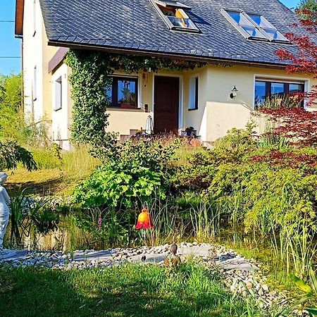 Apartamento Ferienhaus "Am Waldsaum" Kurort Gohrisch Exterior foto