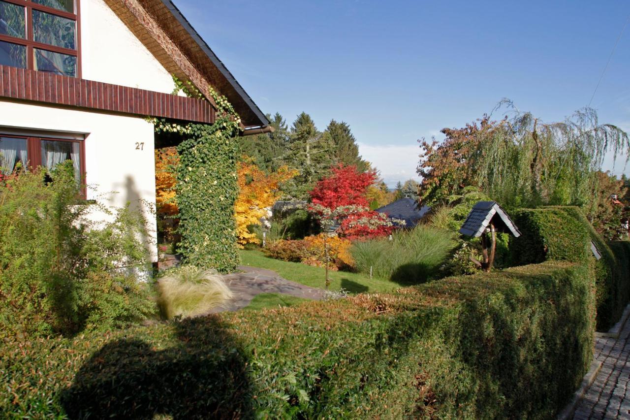 Apartamento Ferienhaus "Am Waldsaum" Kurort Gohrisch Exterior foto