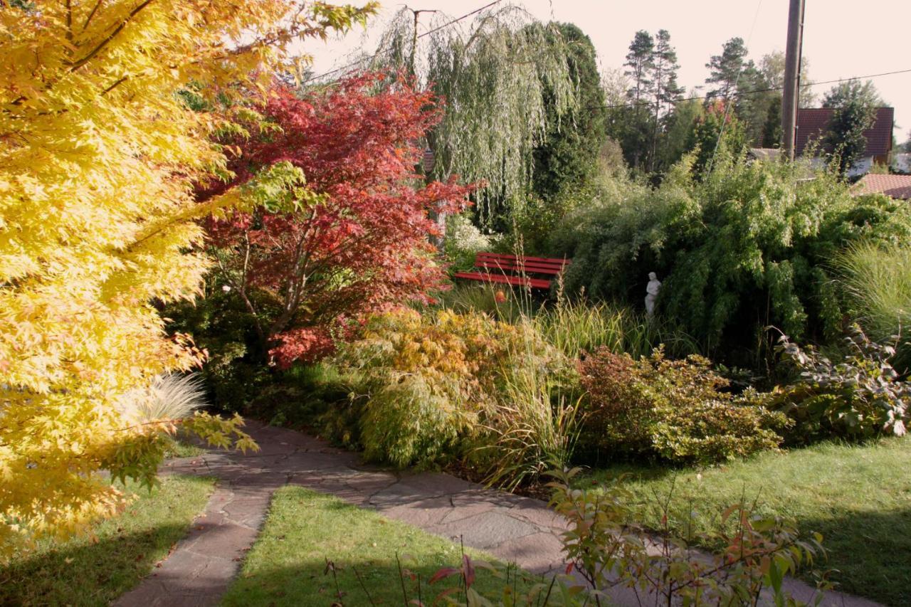 Apartamento Ferienhaus "Am Waldsaum" Kurort Gohrisch Exterior foto