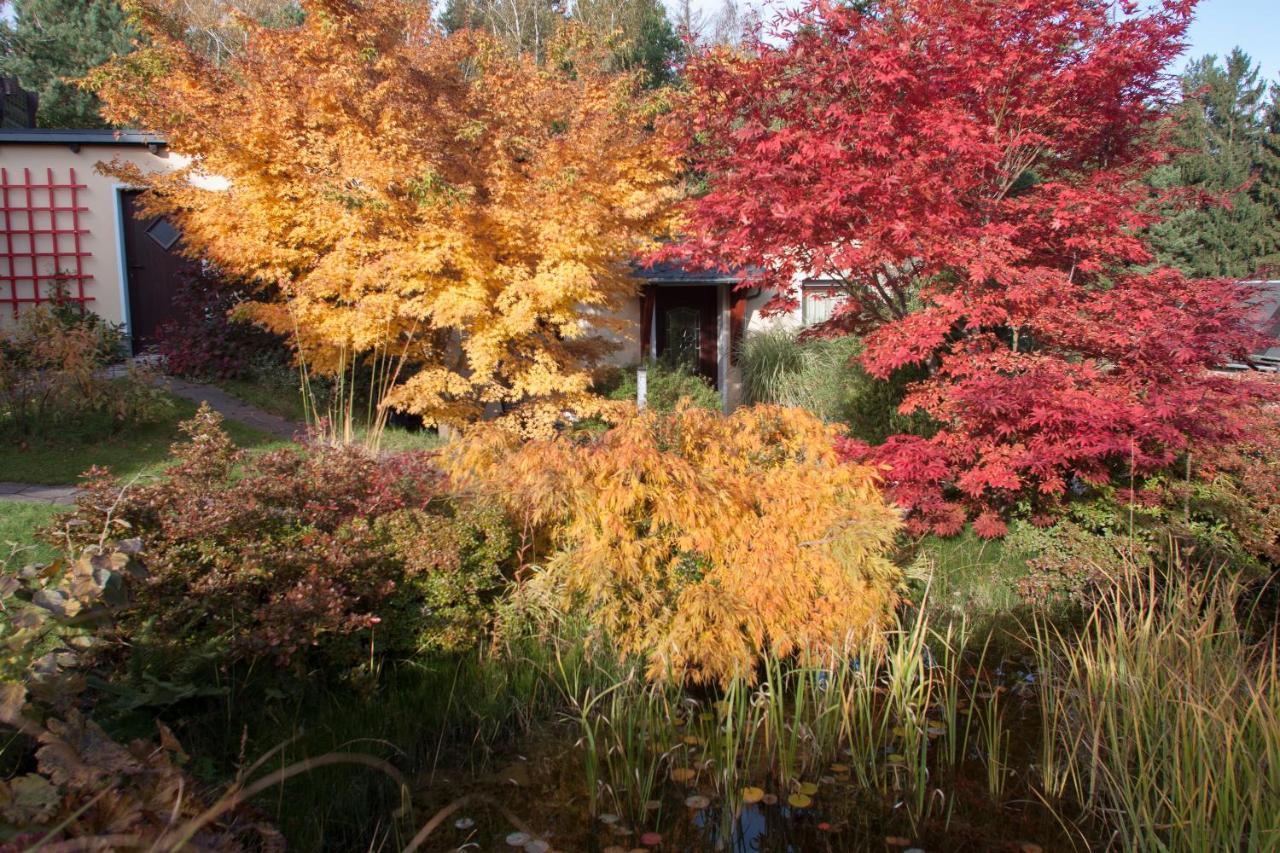 Apartamento Ferienhaus "Am Waldsaum" Kurort Gohrisch Exterior foto