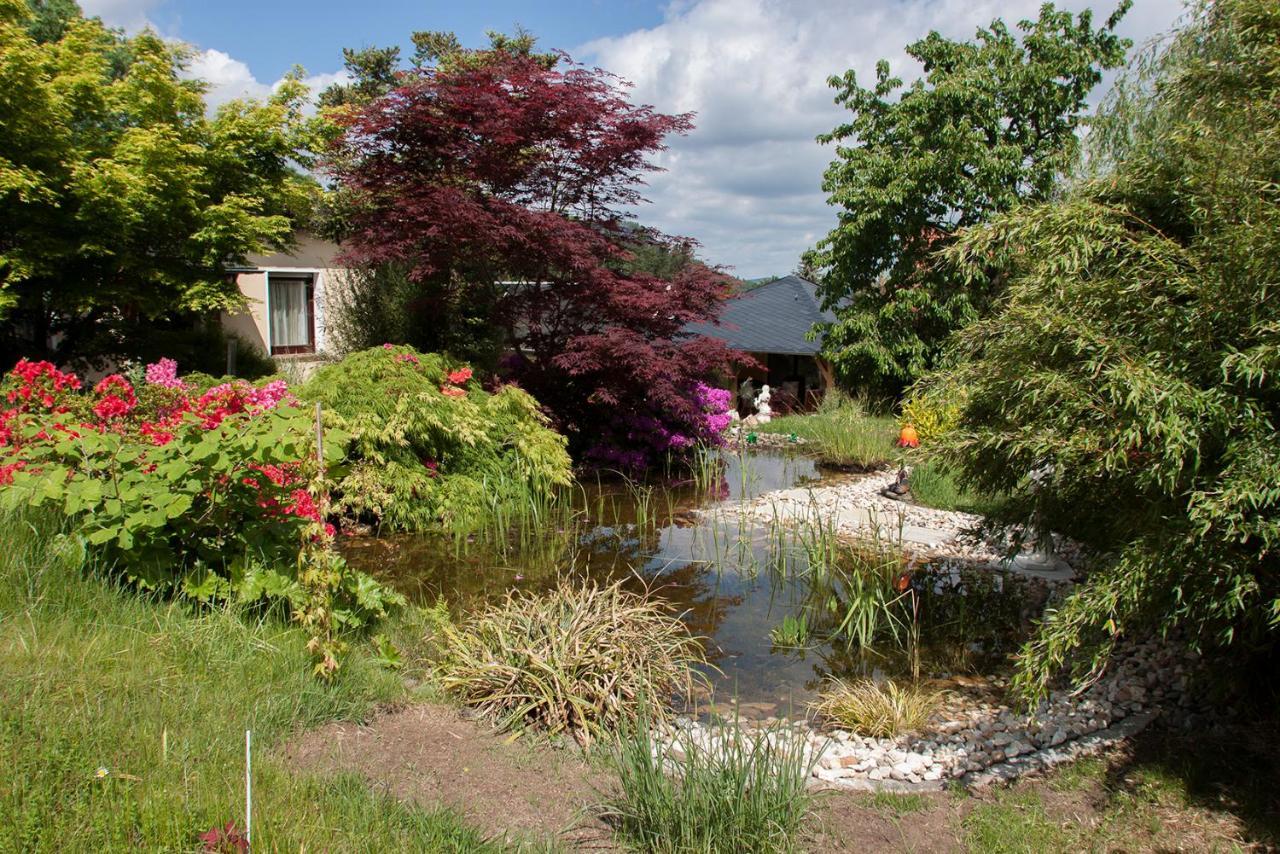 Apartamento Ferienhaus "Am Waldsaum" Kurort Gohrisch Exterior foto