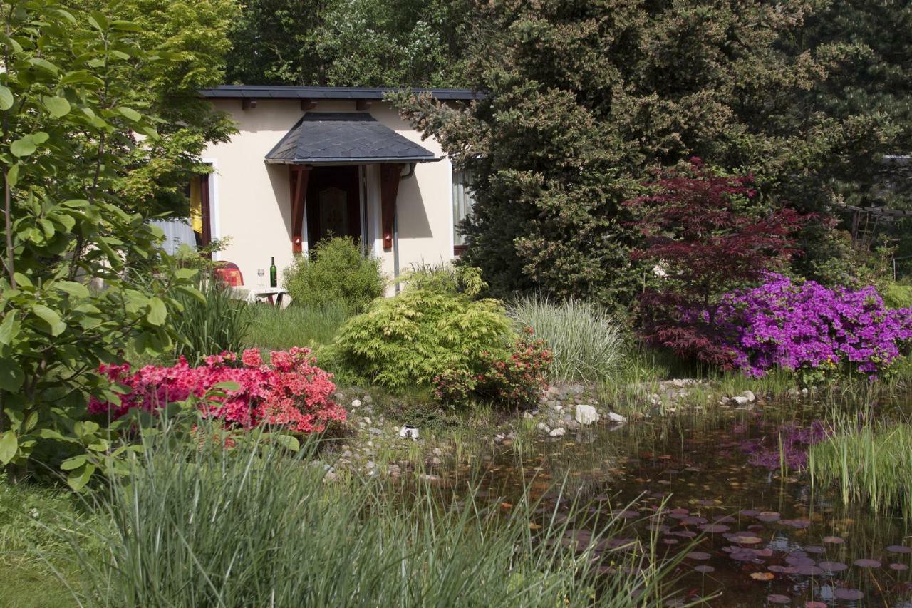 Apartamento Ferienhaus "Am Waldsaum" Kurort Gohrisch Exterior foto