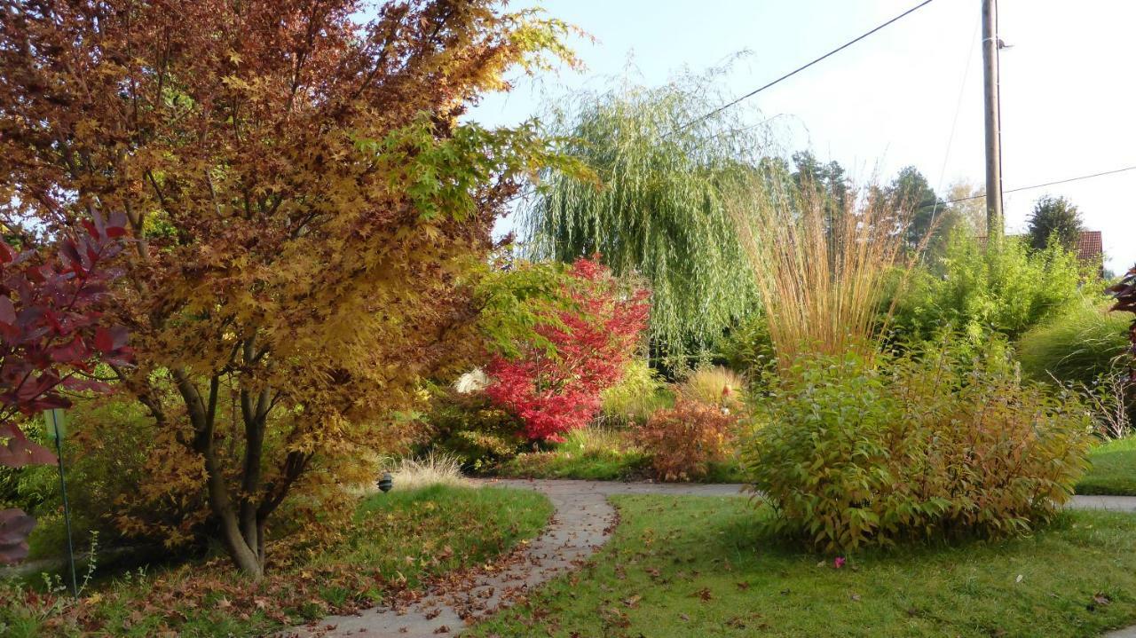 Apartamento Ferienhaus "Am Waldsaum" Kurort Gohrisch Exterior foto